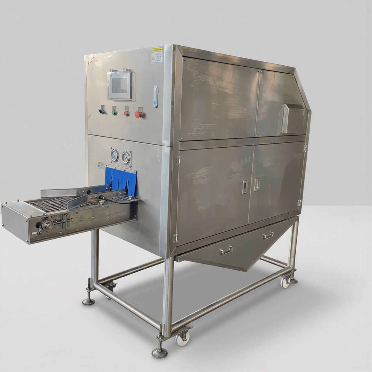 Fish Descaling Machine RL-FDM080