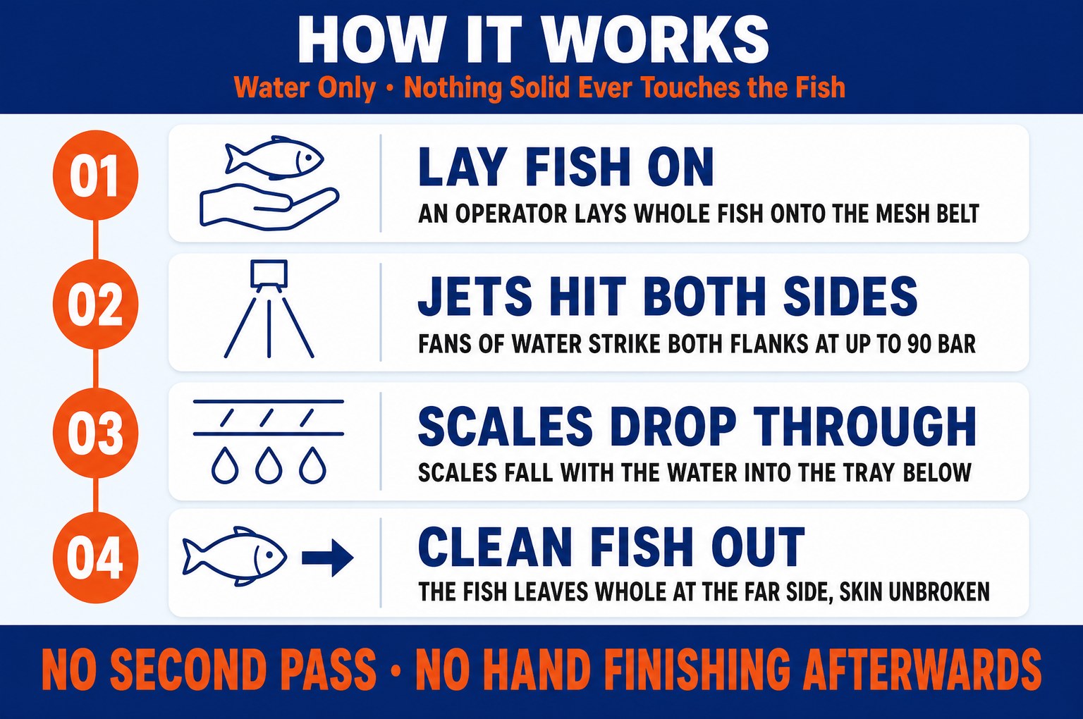 Fish descaling machine — how it works in four steps: lay fish on, jets hit both sides, scales drop through, clean fish out